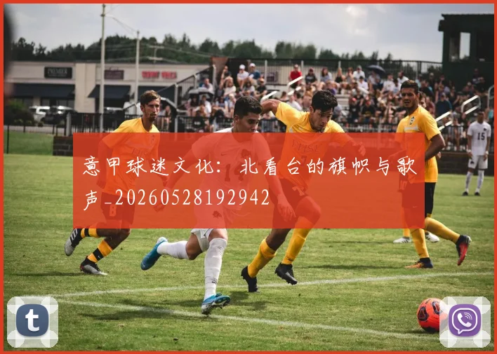 意甲球迷文化：北看台的旗帜与歌声_20260528192942